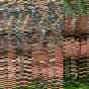 TERMURAH | Jam Tangan Couple | Jam SEIKO 5 | Tanggal hari aktif | Harga Sudah sepasang | Bonus BOK Dan baterai cadangan