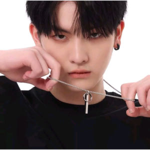 Kalung Titanium Pria Terbaru Model Rolo Balok Cincin Silver Terlaris