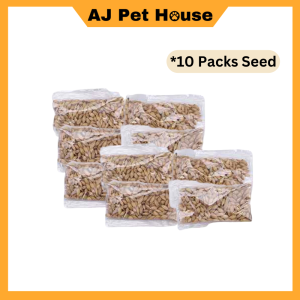 AJPET【Rumput Kucing Tumbuh Dalam Air】Hydroponics Cat Grass Kit Cat Planting Box Cat Grass Grow In Water Cat Grass Set Biji Benih 水培猫草