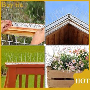 [Buytra] Stainless Steel Pigeon Spikes Bird Repeller Deterrent Traps Anti-bird Repellent Pest Control Garden Balcony Thorn Nail Kit