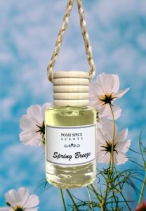 Marine Squash Car Scent Diffuser Fresh Bamboo Air Freshener Hanging Diffuser Posh Deodorizer Odor Remover  Posh Spice