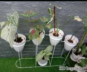 STANDING POT CANDI + BONUS POT/ rak bunga besi murah