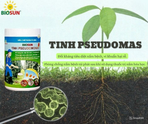 Chế phẩm vi sinh Pseudomonas Biosun thuốc trừ bệnh cây vàng lá và phòng trừ héo xanh thối rễ an toàn - Biosun Farm
