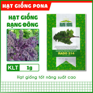 Hạt giống Cải kale tím (Cải xoăn tím) lai F1 RADO 214 (1g) - Hạt giống Rạng Đông