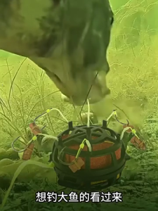 6 móc hình Vuông lồng mồi câu cá lưỡi câu dây lồng mồi câu cá 6 móc nối nhóm nạp chìm dễ sử dụng