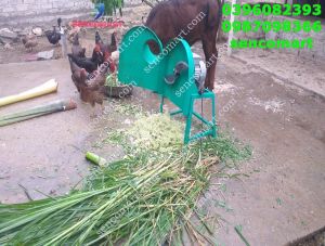 Mua máy thái chuối ở đâu tốt - Máy băm chuối siêu mịn