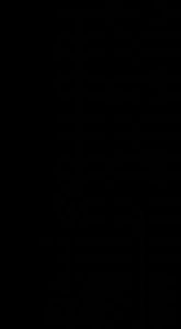 BEST SELLING WESTERN / REGULAR WEAR KURTI