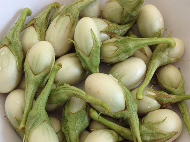 เมล็ดพันธุ์มะเขือไข่เต่าขาว ปลูกง่าย โตเร็ว