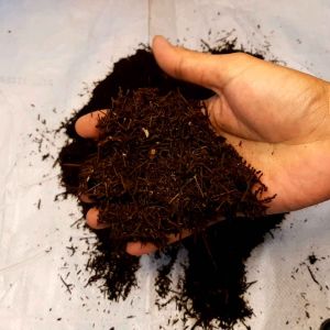 HAPPY PLANT Basic Material / Akar Pakis Cacah / Media Tanam Organik / Media Tanam Porous