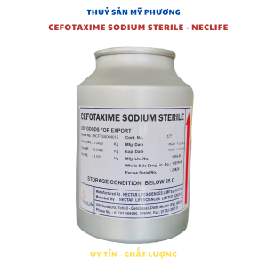 K/h/a/n/g Sinh CEFO TAXIME 98% - CEFOTA XIME SODIUM STERILE NECLINE - Thu/ô/c Gan Cho Tôm Đặc Tri Bênh Gan Cấp Tính Trên Tôm Thẻ Cá Khng Sinh Thuỷ Sản Đường Ruột  - Nuôi Tôm Cá Ếch Lươn Baba - THUỶ SẢN MỸ PHƯƠNG