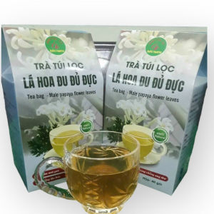 Combo 4 hộp hoa đu đủ đực túi lọc Bảo Khang 160 gói trà lá hoa đu đủ đực mát gan lão hóa ung thư tốt cho tiêu hóa