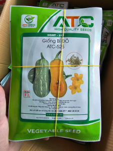 hạt giống Bí hồ Lô BÍ đậu ATC năng suất kháng bệnh RẤT DẺO