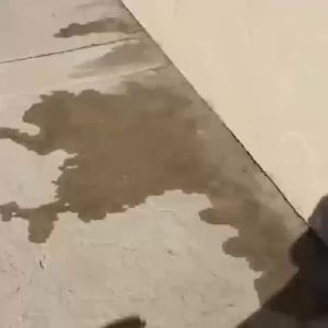 【Ship in 24H】[Household Indoor Water Leak Detector/Easy Leak Detection] DT Small Household Tap Water Floor Heating Water Leak Detector/Leak Detector/Water Leak Alarm/Small Leak Detector 家用室内漏水检测仪