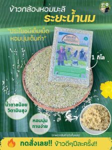 ข้าวกล้องหอมมะลิ ระยะน้ำนม (ข้าวใหม่ปี2568) หอมนุ่ม ทานง่าย น้ำตาลน้อย วิตามินสูง ปลอดสาร  (1 กก.)