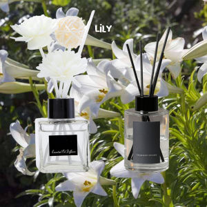 Pengharum Ruangan Aromaterapi Diffuser Aromatherapy Free Oil 50ml Pewangi Ruangan Kamar Parfum Stick
