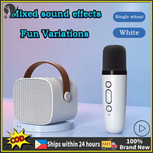 Wireless Bluetooth Dual Microphone Karaoke Family Party Bluetooth Audio Portable Stereo