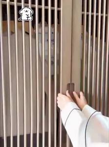 ONEFULL Dehumidifying Bag Anti-Mold Home Dehumidifier