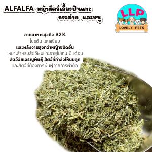 หญ้าอัลฟาฟ่าสับ Alfalfa All Natural ร่อนฝุ่นละเอียด เขียว ใบเยอะ ( 500G.-1KG )