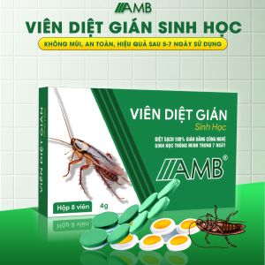 Thuốc diệt gián sinh học AMB diệt tận gốc các loại gián viên diệt gián hiệu quả an toàn không mùi