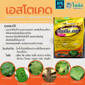 เอสโตเคด ขนาด 100 กรัม เอสโตเคต แมนโคเซบ+วาลิฟีนาเลท โซตัส สารดูดซึมเก่ง ราน้ำค้าง ราแป้ง แอนแทรคโนส โรคใบไหม้ โรคใบลาย ใบจุด สูตรทนฝน