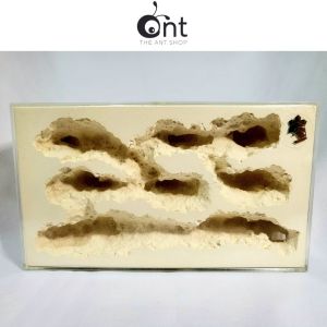 The Cave Formicarium(Medium)                                                                                                                                                                      - Ant Farm Ant Keeping Ant Cages Ant Formicarium Ant Outworld