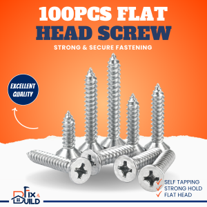 100PCS Flat Head Screw l Self - Tapping Philips Screw l Plastic Wood Screws l Fix and Build