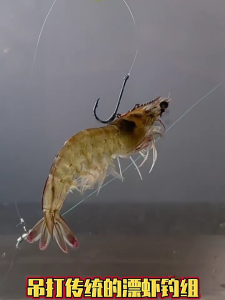 5pcs Strong Barbed Fishing Hooks with Holes Fishing Hooks Adapt to Various Fishing Environment Live Shrimp Fixed Hooks