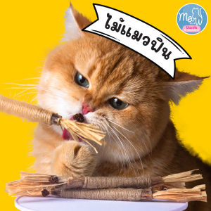 ไม้แมวฟิน Meow Fine จากธรรมชาติ ไม้มาทาทาบิ ขัดฟัน น้องเหมียวแฮปปี้