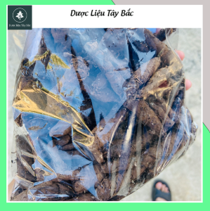 Sâm Cau Đen Khô (Sâm tiên mao) 1kg hàng chuẩn loại 1 Dược liệu Tây Bắc