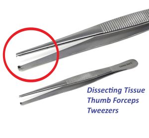 Dissecting Tissue Thumb Forceps - Plain or Toothed 5 1/2 Inch Stainless Steel