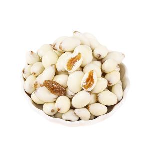 Yogurt chocolate raisin independent small packaging   酸奶巧克力葡萄干