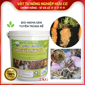 NẤM SĂN TUYẾN TRÙNG RỄ  2Kg Ngừa Bứu Rễ Vàng Lá Héo Xanh Do Tuyến Trùng Gây Ra