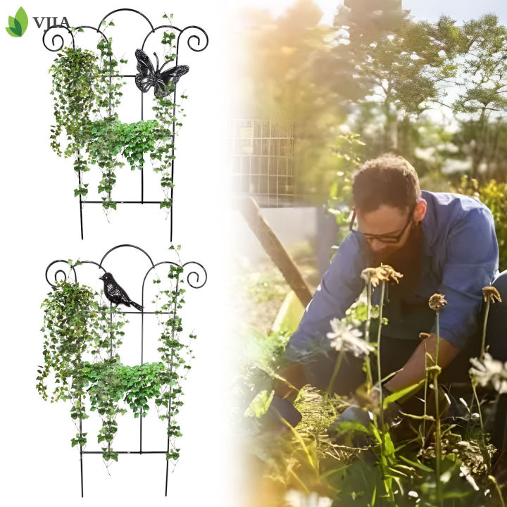 How to Build a Trellis - Better Homes & Gardens