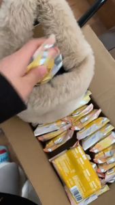 DEEYEO Tisu Basah 德佑婴儿手口湿巾 Baby Hand Mouth Wet Wipes 纯水温和清洁柔润保湿 Wet Wipes Travel Pack Daily Care