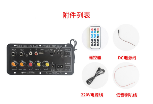 Chất lượng âm thanh HD 220V 12V kỹ thuật số bảng khuếch đại Bluetooth Loa siêu trầm micro D10