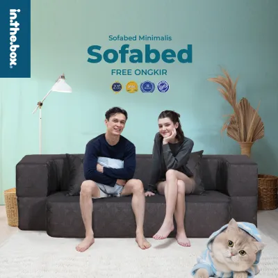 In The Box Sofabed