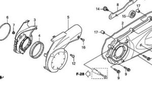 Ốc băt chụp nồi trước Sh 300i và Foza 300i ( Hình SỐ 12 )