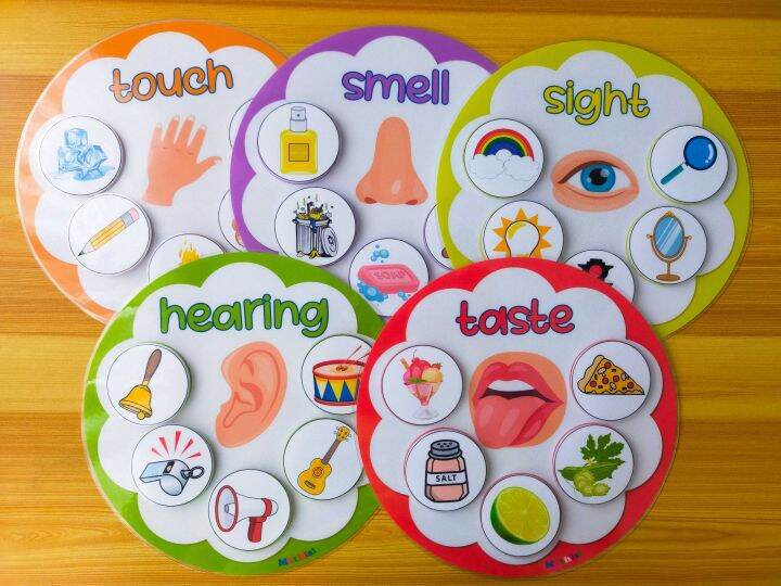 5 SENSES SORTING WORKSHEET SET | LEARNING MATERIAL | TEACHING MATERIALS ...