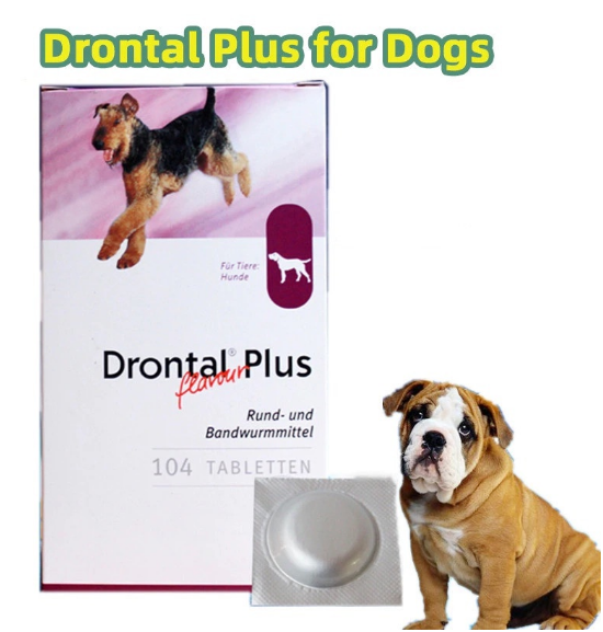 Drontal Plus Tablets for Dogs Tasty Dewormer 1 Tablet(sold per capsule ...