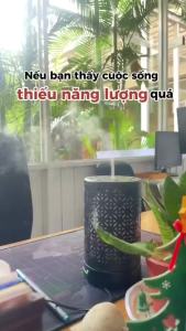 Tinh Dầu Home Fragrance Zenme 15ml - Thơm Phòng Mùi Hương Cao Cấp Nâng Tầm Không Gian Sống
