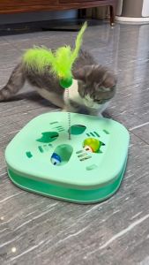 Interactive Cat Maze Toy with Bell Ball – Fun Puzzle Play Toy for Indoor Cats