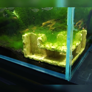 Hồ cá nhựa trang trí hầm vật trang trí cảnh quan bể cá nơi trú ẩn hang động cho cá Betta và NƠI ẨN NÁU góc tôm