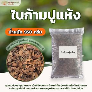 ใบก้ามปูแห้ง (950 กรัม) ใบก้ามปู100%ใบก้ามปูล้วน (กรุณาสั่งสินค้าไม่เกิน 7 ถุง/ 1 ออเดอร์นะคะ)