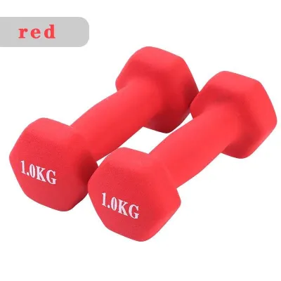 Women & Kids Non-Slip Matte Round Coating Home Workout & Fitness Training Pair Dumbbells