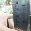 Kaleng Kosong 100cc / Kaleng Baru / Kaleng Cat 100cc. 