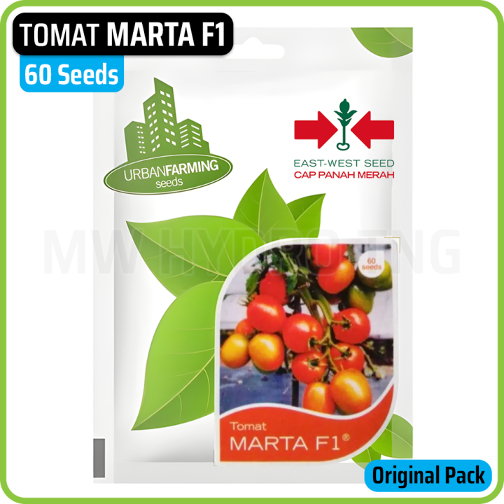 Benih Tomat MARTA F1, 60 seeds | Panah Merah / East West Seed | Lazada ...