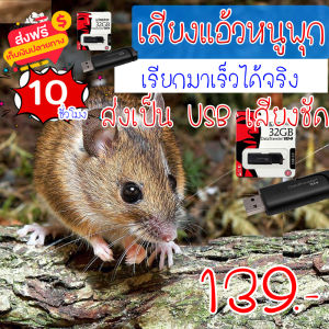 เสียงแอ้วหนูพุก เสียงเรียกหนู ความยาว 10 ชม.เสียงดัง เสียงใสกังวาน ได้ผล100%