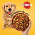 PEDIGREE เพดดิกรี อาหารสุนัขโต ชนิดเม็ด ขนาด 3 กิโลกรัม. 
