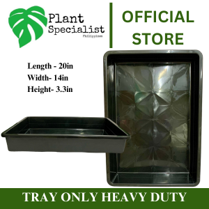 Plant Specialist/Tray Only for Plants Heavy Duty/Tray For plants/Php450