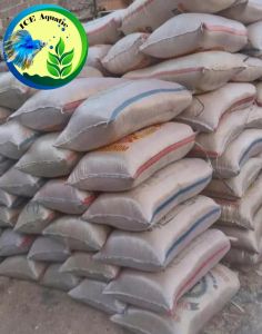 SEKAM MENTAH 1 KARUNG FULL KULIT PADI KARUNG BERAS 50 KG MEDIA TANAM ORGANIK FREE KOHE MBEK